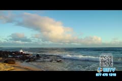 TV Content Image